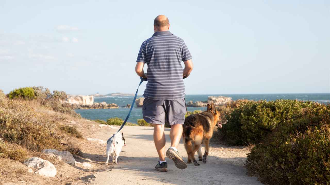 犬の散歩でダイエット